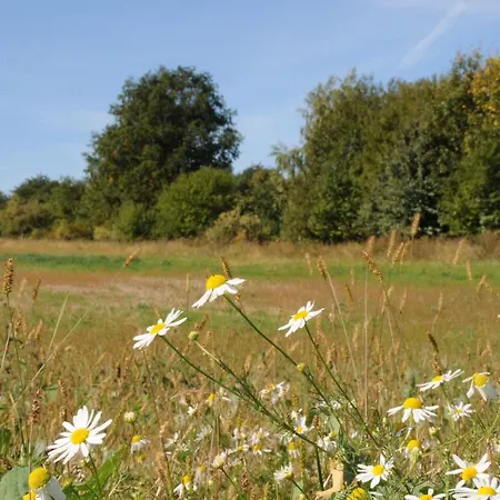 Farm stay Sady Blotnica Dom Goscinny