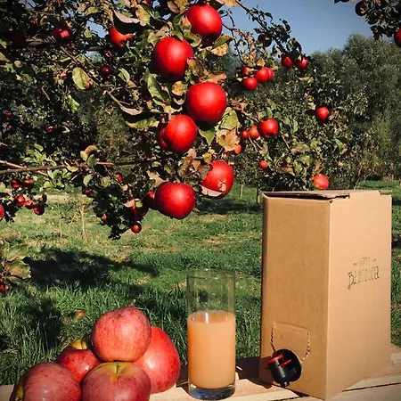 Sady Blotnica Dom Goscinny Farm stay Prusy (Lower Silesia)