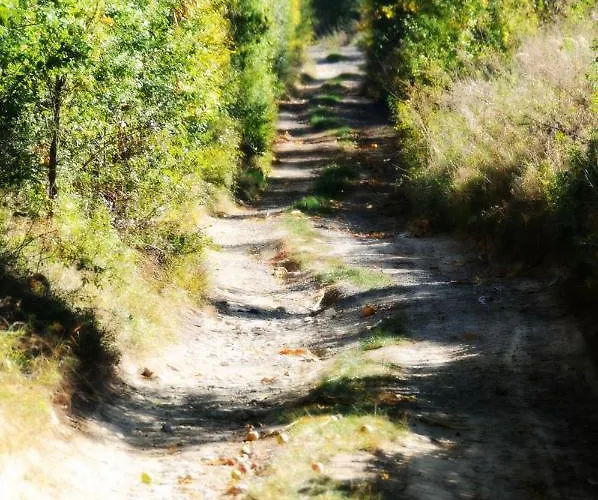 Sady Blotnica Çiftlik konaklama *