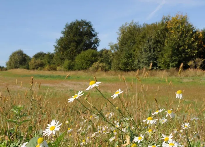 Çiftlik konaklama Sady Blotnica