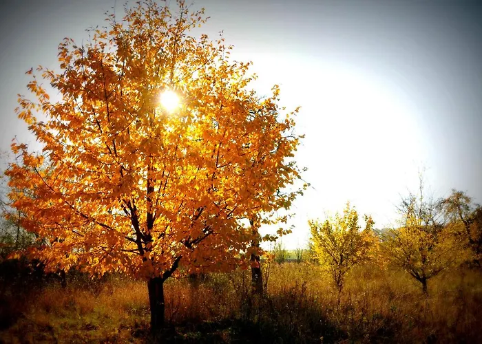 Çiftlik konaklama Sady Blotnica Prusy (Lower Silesia)