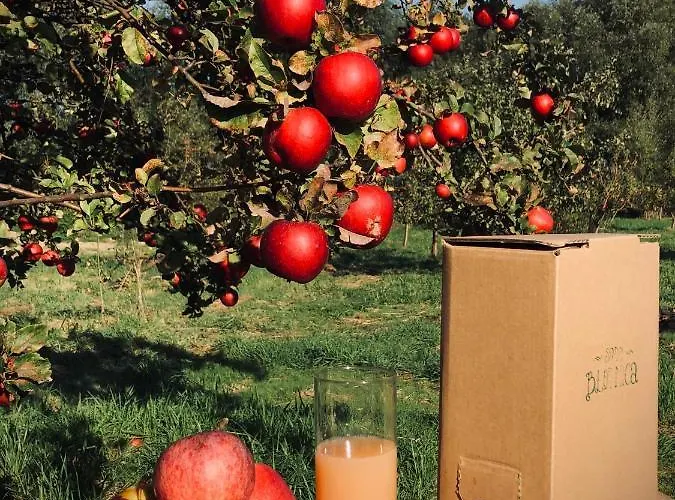 Sady Blotnica Çiftlik konaklama Prusy (Lower Silesia)