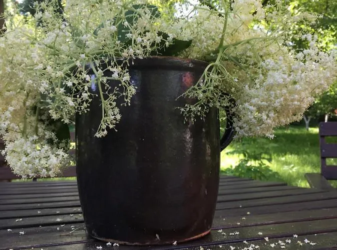 Sady Blotnica Çiftlik konaklama *